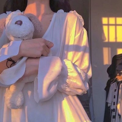 没女神探